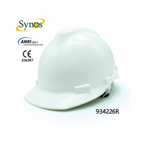 SYNOS V2 0