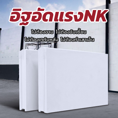 ทำความรู้จัก-อิฐอัดแรงnk